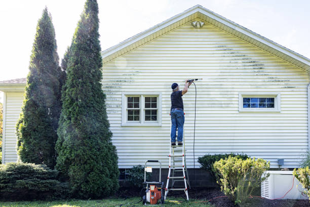 Best Dumpster Area Cleaning  in Ashland, NJ